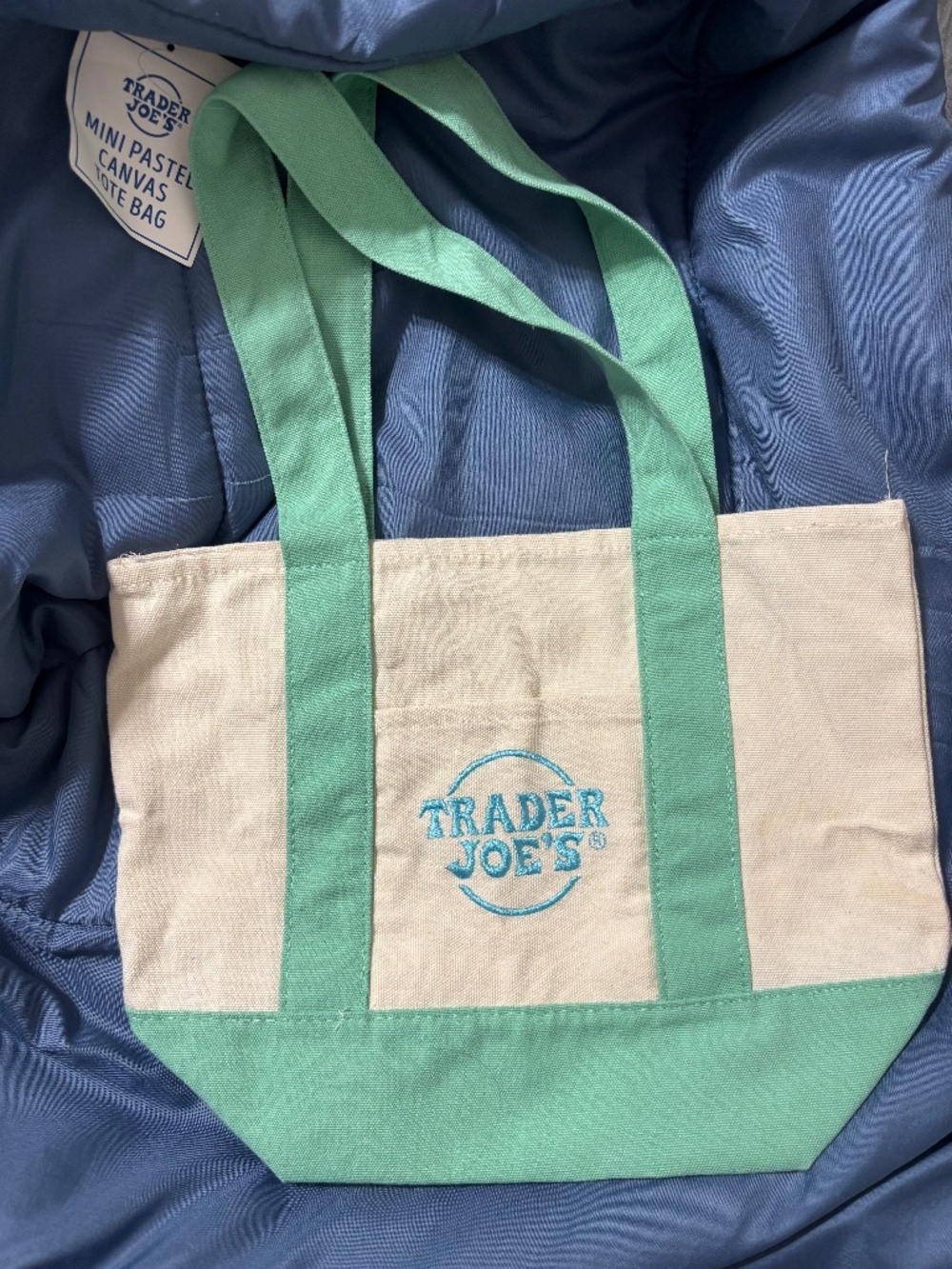 Turquoise Trader Joe's mini tote